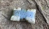چرا قاچاقچیان از تصویر ترامپ برای بسته‌بندی کوکائین استفاده می‌کنند؟ | ساقی‌ام، نمونه کارم: ترامپ