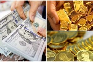 ۳ اشتباه مرگبار در باز دلار و طلا/ ویدئو