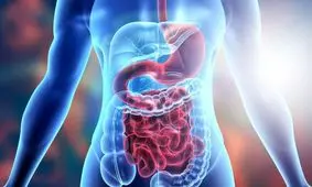 بهترین و بدترین غذاها برای گوارش