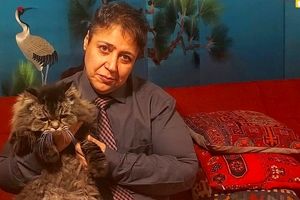 گپ خودمانی مازیار لرستانی با گربه خانگی اش/ ویدئو