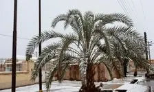 کدام استان ها برفی هستند؟