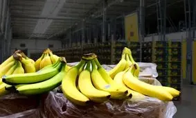  دلیل افزایش بی‌رویه قیمت موز/ جنجال نیترات هندوانه‌های ایرانی به کجا رسید؟
