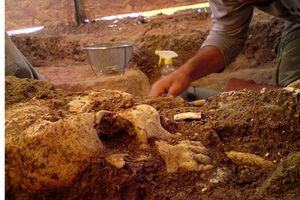 شگفتی باستان‌شناسان از یک مقبره عجیب در مکزیک