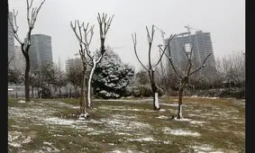 محدودیت گازرسانی در تهران؟! / گاز ادارات قطع می‌شود؟