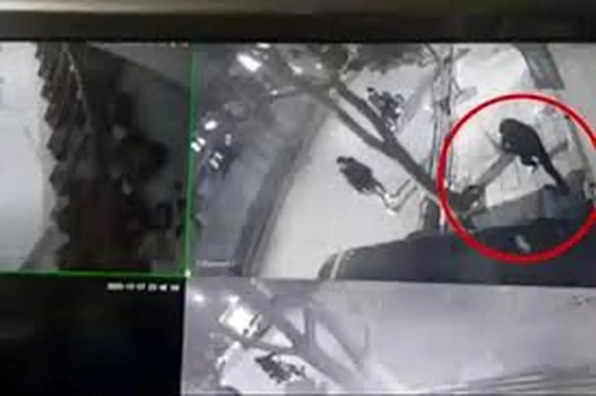 حمله به یک مرد جوان و زورگیری و قمه‌کشی در بلوار دانشجو مشهد/ ویدئو