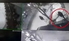 حمله به یک مرد جوان و زورگیری و قمه‌کشی در بلوار دانشجو مشهد/ ویدئو