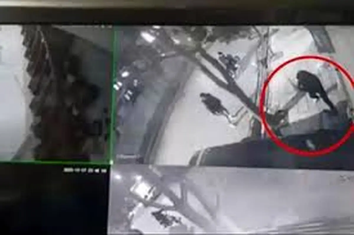 حمله به یک مرد جوان و زورگیری و قمه‌کشی در بلوار دانشجو مشهد/ ویدئو