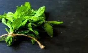 آیا مصرف نعناع در بارداری ایمن است؟