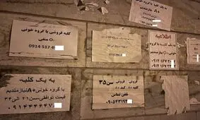  فروش دلاری «کلیه» ایرانی‌ها با سفر به ترکیه و عراق!/ مصاحبه با خانمی که کلیه اش را فروخته است