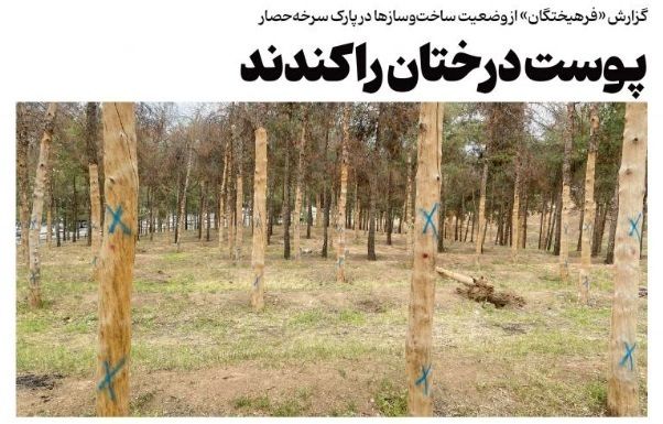 گزارش یک روزنامه از ادامه قطع درختان در تهران: درختان پارک حفاظت‌شده سرخه‌حصار نیز از شهرداری تهران ضربدر گرفتند