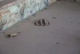 yUKRH6ITO0QZ