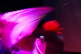 SAD_3218