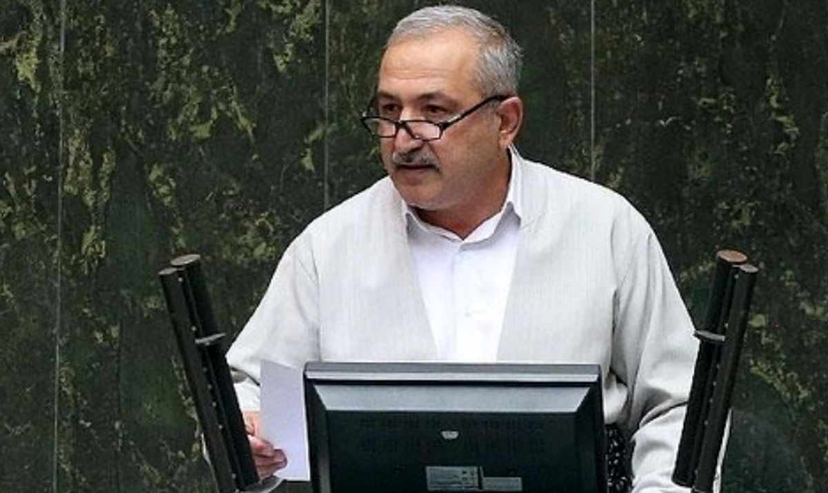نماینده مجلس: استیضاح وزیر کشاورزی به علت عدم مدیریت مناسب بازار کالاهای اساسی/ ادامه روند کنونی، تولید محصولات پروتئینی را به تعطیلی میکشاند
