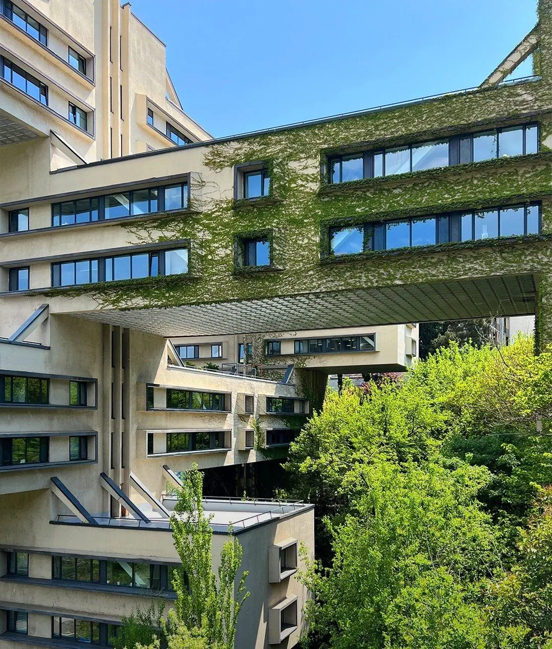 وزارت راهسازی سابق گرجستان؛ نماد بتنی معماری شوروی که بانک شد