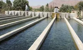 تعطیلی بزرگترین سایت پرورش ماهیان سردآبی کشور در اندیمشک/ وقتی مدیران‌ محلی مانع اشتغال می‌شوند