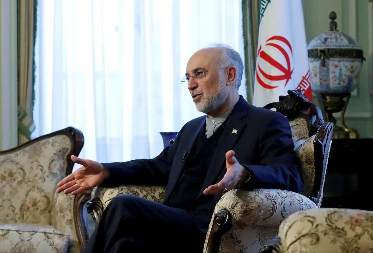 نباید انتظار داشت ایران به فلسطین سرباز بفرستد، هر کسی باید از خانه خودش دفاع کند/ ما حامی جبهه مقاومت هستیم چه تسلیحاتی، چه از نظر آموزش‌های نظامی و چه از منظر حقوق بین‌الملل