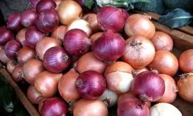  پاسخ عبدی به انتقاد عضو مجمع تشخیص از پدیده عجیب صادرات و بعد واردات پیاز

