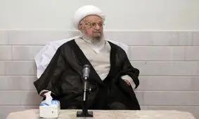 آیت الله مکارم: اینکه بخواهیم با فشار، مسئله حجاب و یا کمبود جمعیت را حل کنیم، درست نیست