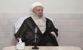آیت الله مکارم: اینکه بخواهیم با فشار، مسئله حجاب و یا کمبود جمعیت را حل کنیم، درست نیست