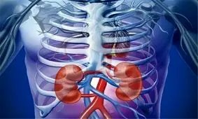 یک عامل اصلی بیماری مزمن کلیه