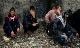 تریاک از سبد مصرف معتادان پر کشید