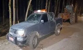 لحظه تیراندازی قاچاقچیان چوب به ماموران منابع طبیعی نور/ ویدئو