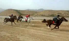  تصویب و تامین اعتبار چندین پروژه ورزشی در حوزه انتخابیه و رفع مشکل سوارکاران استان خوزستان