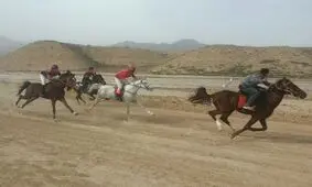  تصویب و تامین اعتبار چندین پروژه ورزشی در حوزه انتخابیه و رفع مشکل سوارکاران استان خوزستان