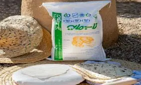 رکورد تولید خمیرمایه در شرکت خمیرمایه و الکل رازی شکسته شد