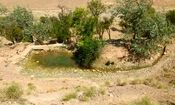 بازسازی ۱۲۸ قنات رهاورد سفر رییس جمهور به خراسان جنوبی