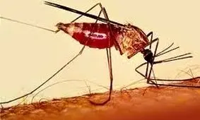 آغاز پروژه مشترک دانشگاه علوم پزشکی زاهدان با منطقه آزاد چابهار