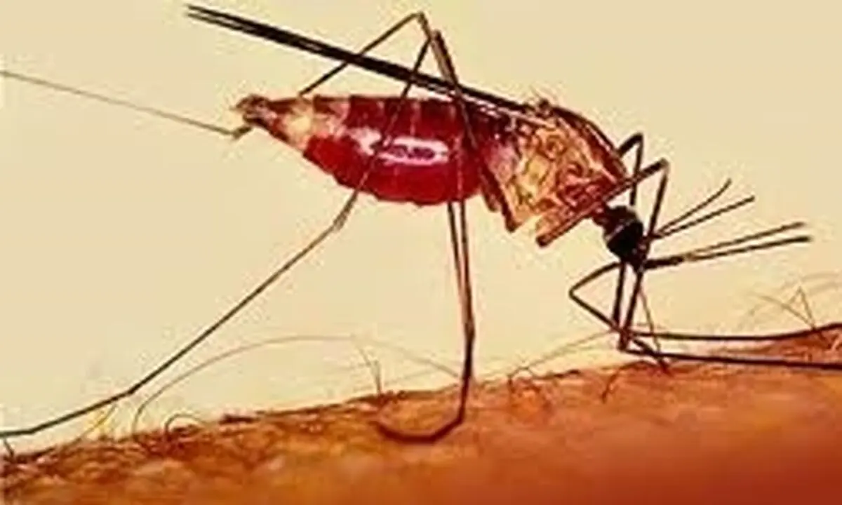 آغاز پروژه مشترک دانشگاه علوم پزشکی زاهدان با منطقه آزاد چابهار