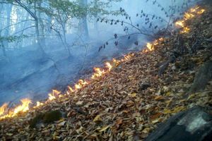 مهار آتش در 3 نقطه جنگلی رامیان گلستان