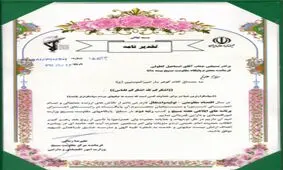 کسب رتبه دوم برای پایگاه بسیج بیمه دانا