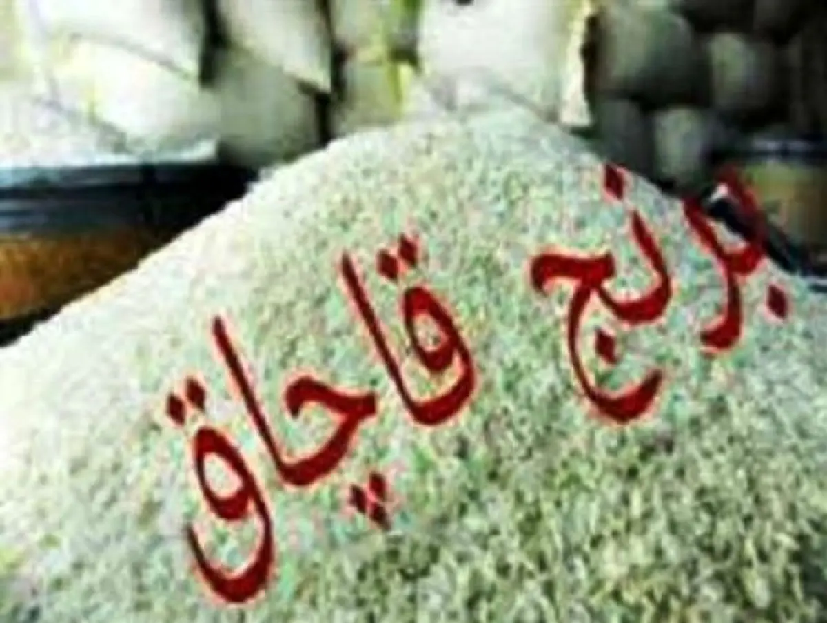 کشف 880 کیلوگرم برنج قاچاق در گیلان