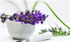 طرح ملی گیاهان دارویی در بودجه سال 97 ردیف ملی گرفت