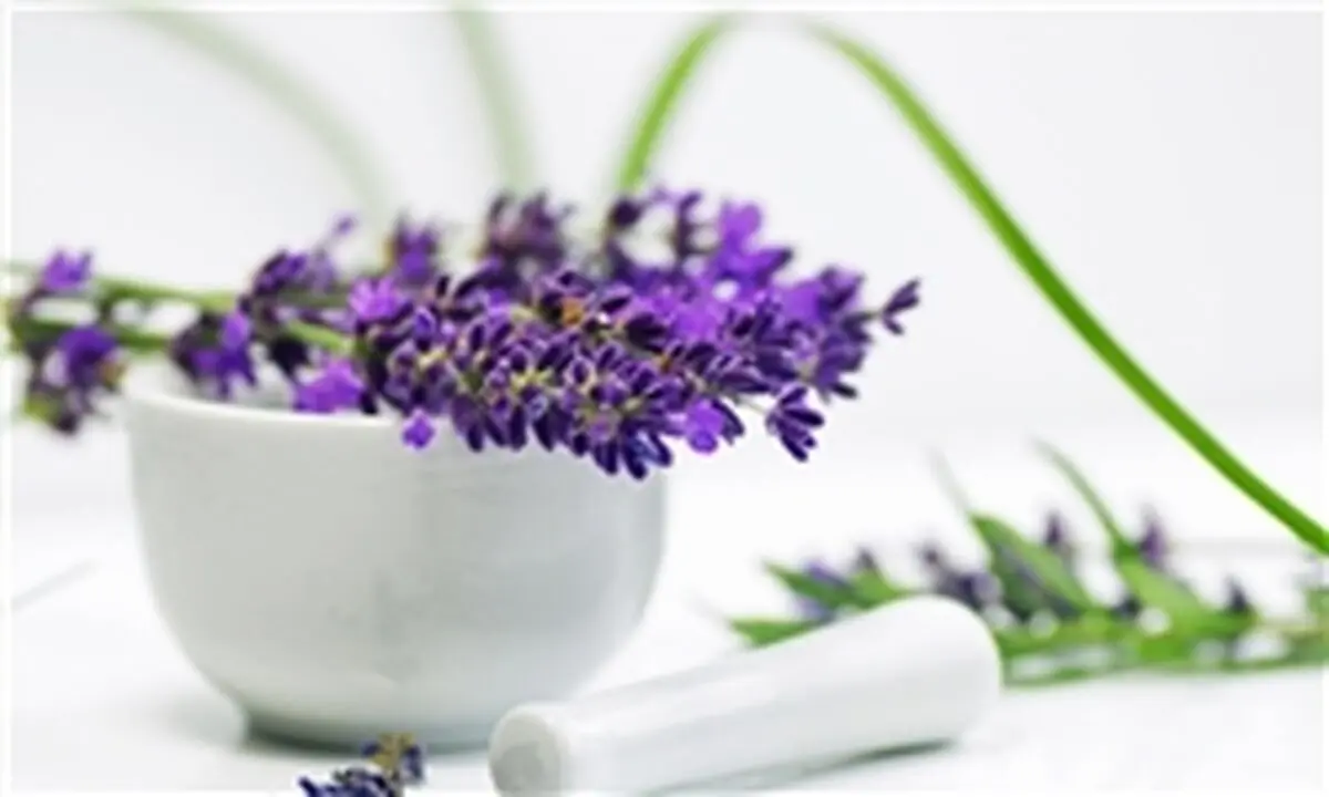 طرح ملی گیاهان دارویی در بودجه سال 97 ردیف ملی گرفت
