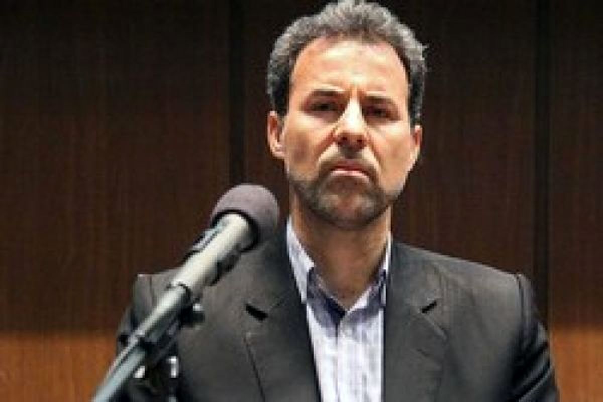 میرزایی: مسئولیت قیمتگذاری حاملهای انرژی با دولت است