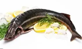 تاثیر مصرف ماهی بر ضریب هوشی و کیفیت خواب کودکان