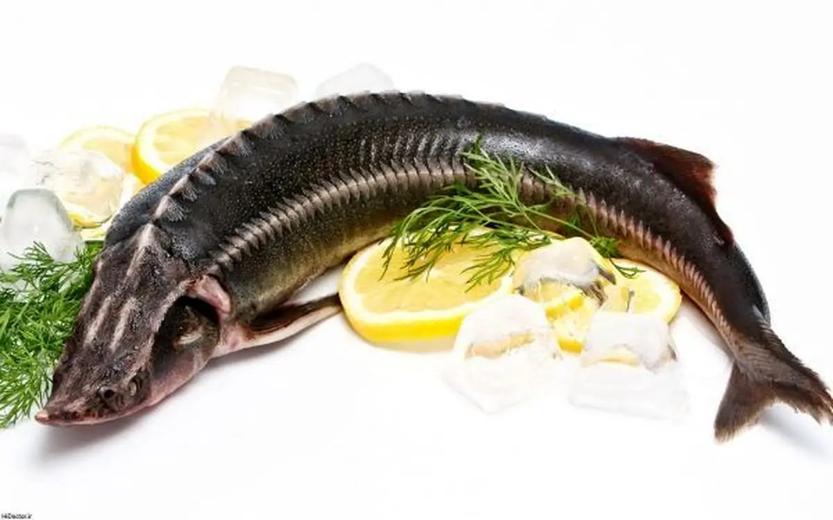 تاثیر مصرف ماهی بر ضریب هوشی و کیفیت خواب کودکان