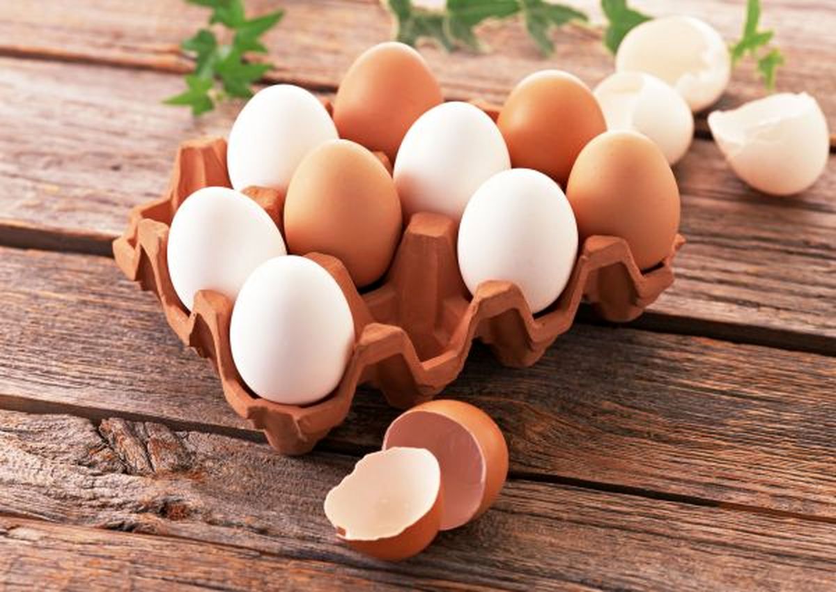 کمپین #تخممرغ_نخریم و آینده قیمت آن