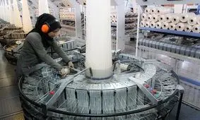 ۲۰ درصد فارغ التحصیلان شانس کار دارند