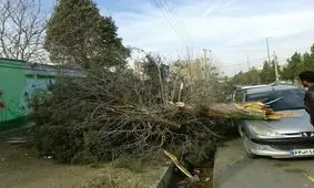 طوفانی با سرعت بیش از 95 کیلومتر بر ساعت میاندوآب را در نوردید