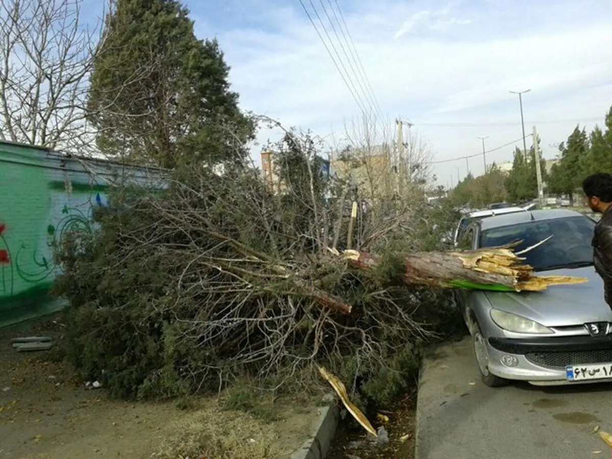 طوفانی با سرعت بیش از 95 کیلومتر بر ساعت میاندوآب را در نوردید