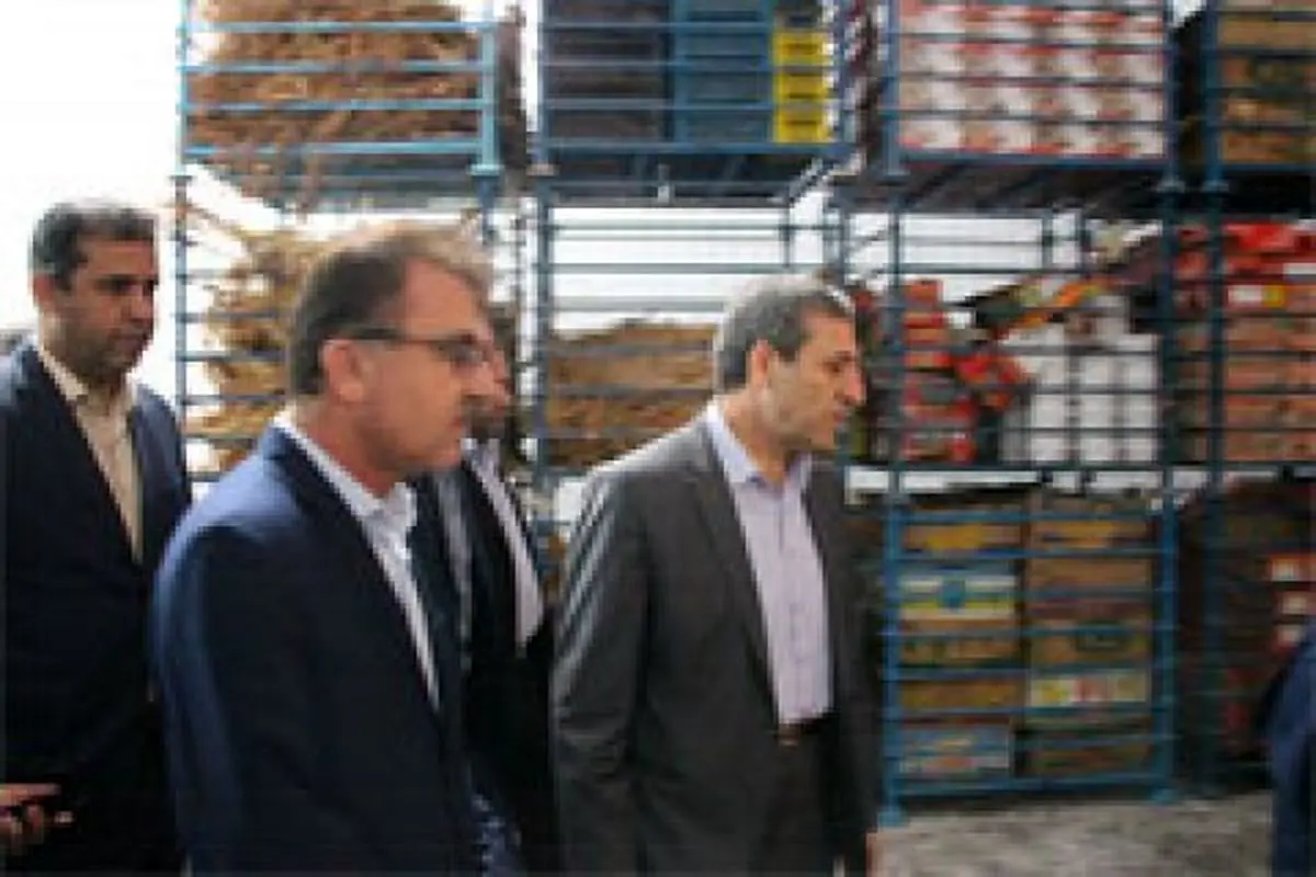 بازدید از شرکت پریشان نخل بوشهر از طرح های بانک صنعت و معدن