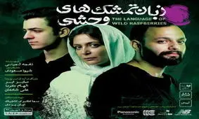 انصراف یک گروه ديگر از جشنواره تئاتر فجر