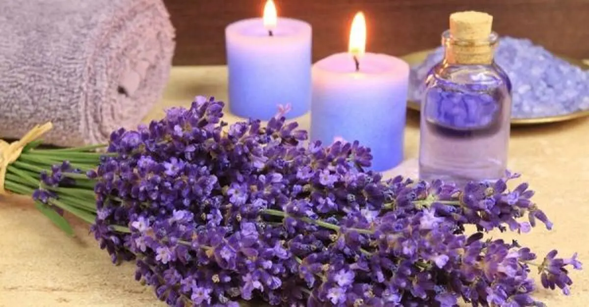 روشهایی ساده برای خوش بو کردن منزل