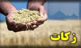 بیش از ۴ میلیارد ریال زکات در شهرستان پلدختر جمع‌آوری‌ شد