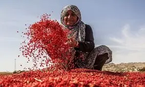 ساماندهی مشاغل خانگی نیازمند همکاری دستگاه‌های اجرایی