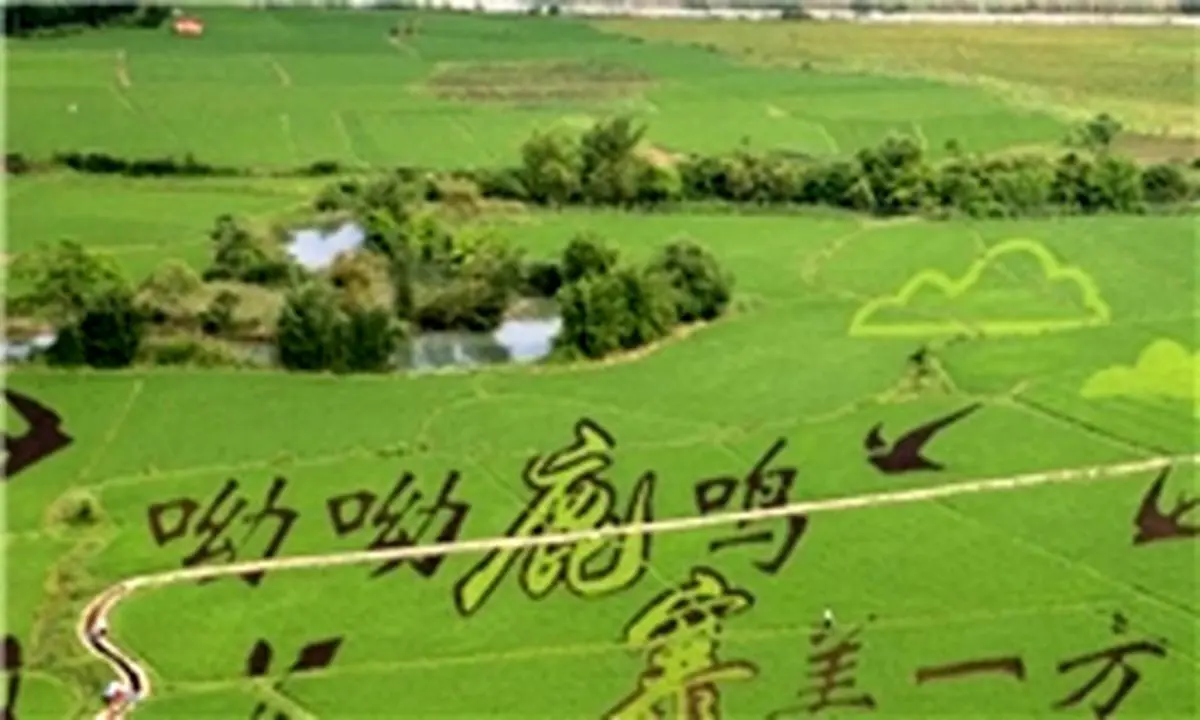 توسعه اقتصادی گلستان به بخش کشاورزی وابسته است/ پیشرفت پروژه‎های اقتصاد مقاومتی در بخش کشاورزی گلستان